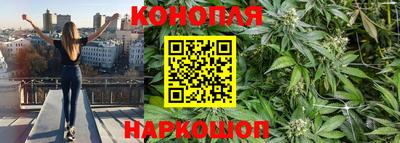 а пвп мука Кингисепп